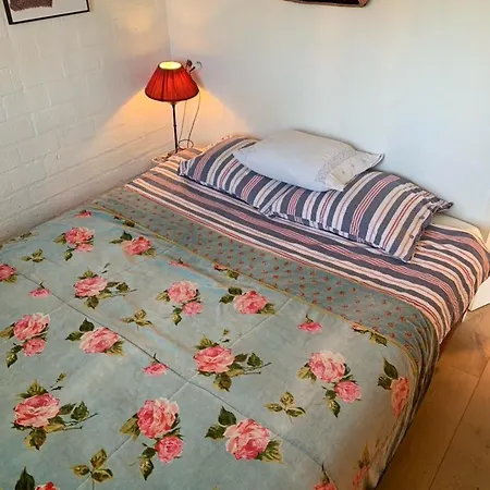 Kunstzinnige Bungalow In Egmond aan den Hoef