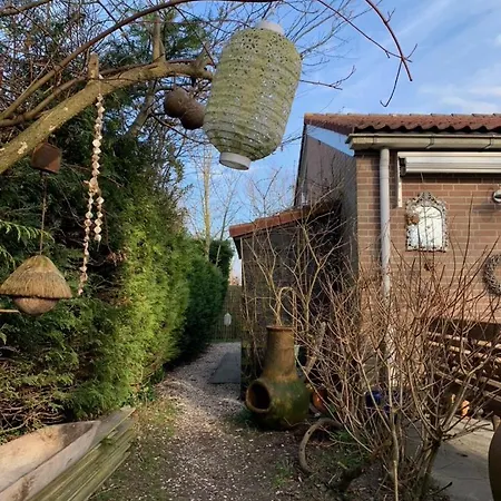 Apartamento Kunstzinnige Bungalow In Egmond aan den Hoef